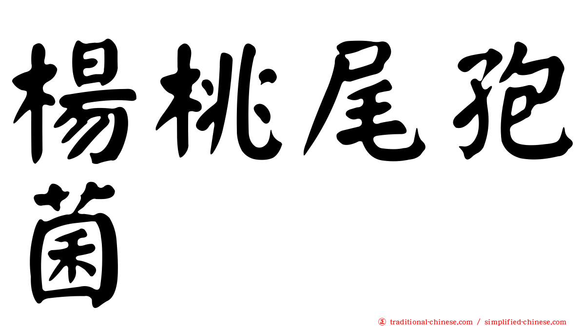 楊桃尾孢菌