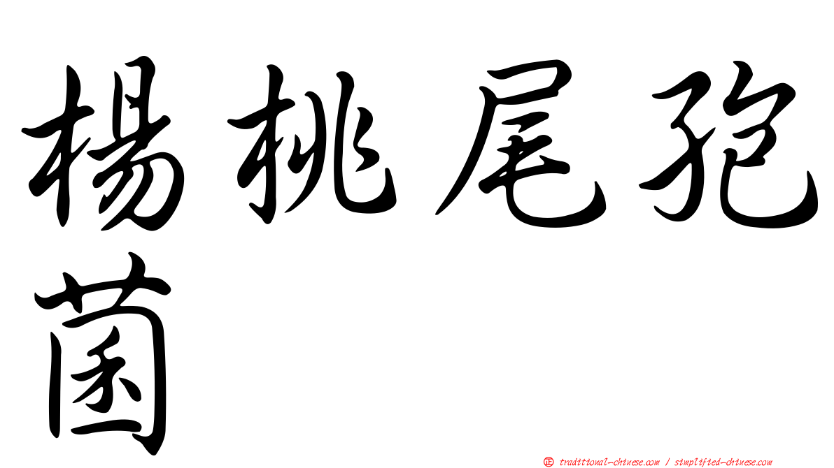楊桃尾孢菌