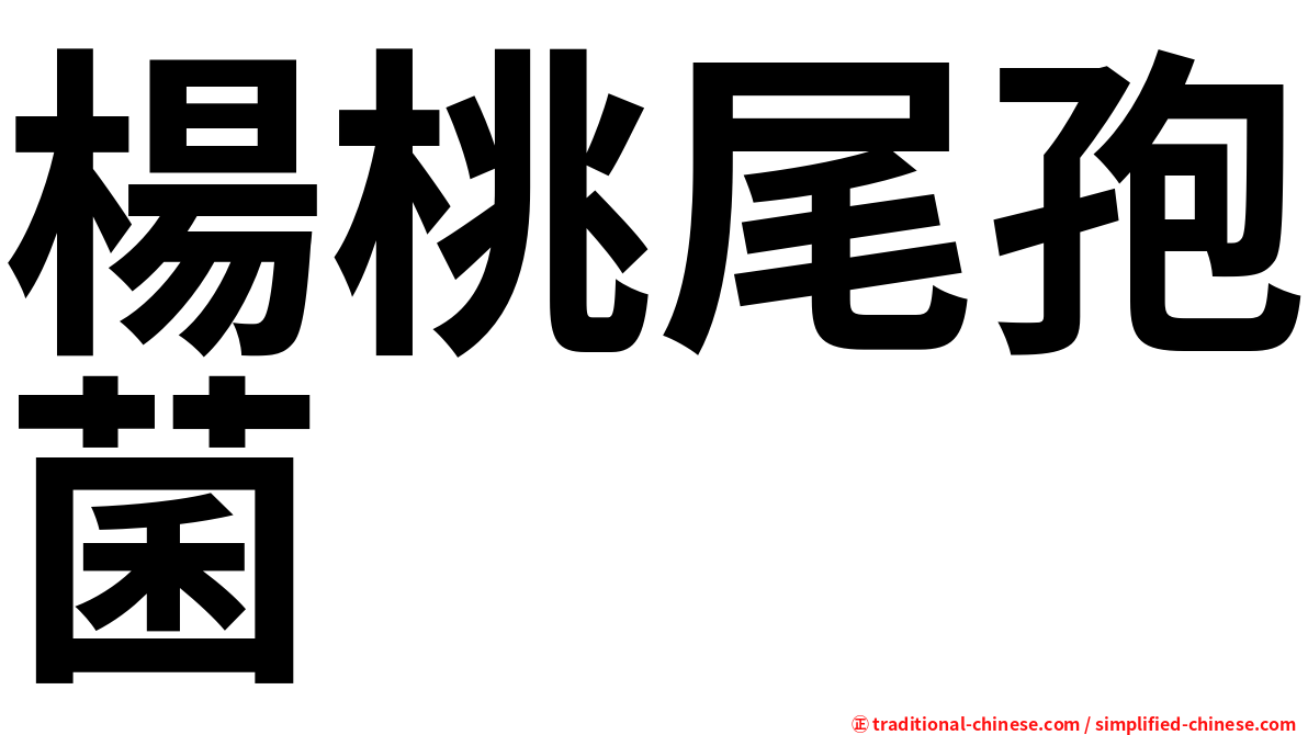 楊桃尾孢菌
