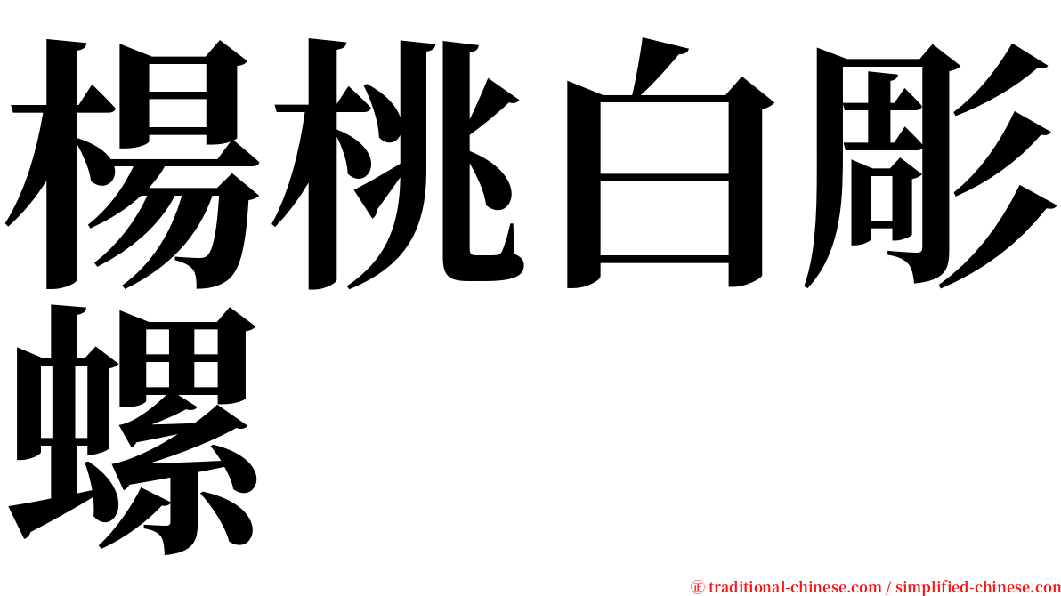 楊桃白彫螺 serif font