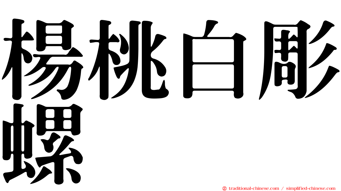 楊桃白彫螺