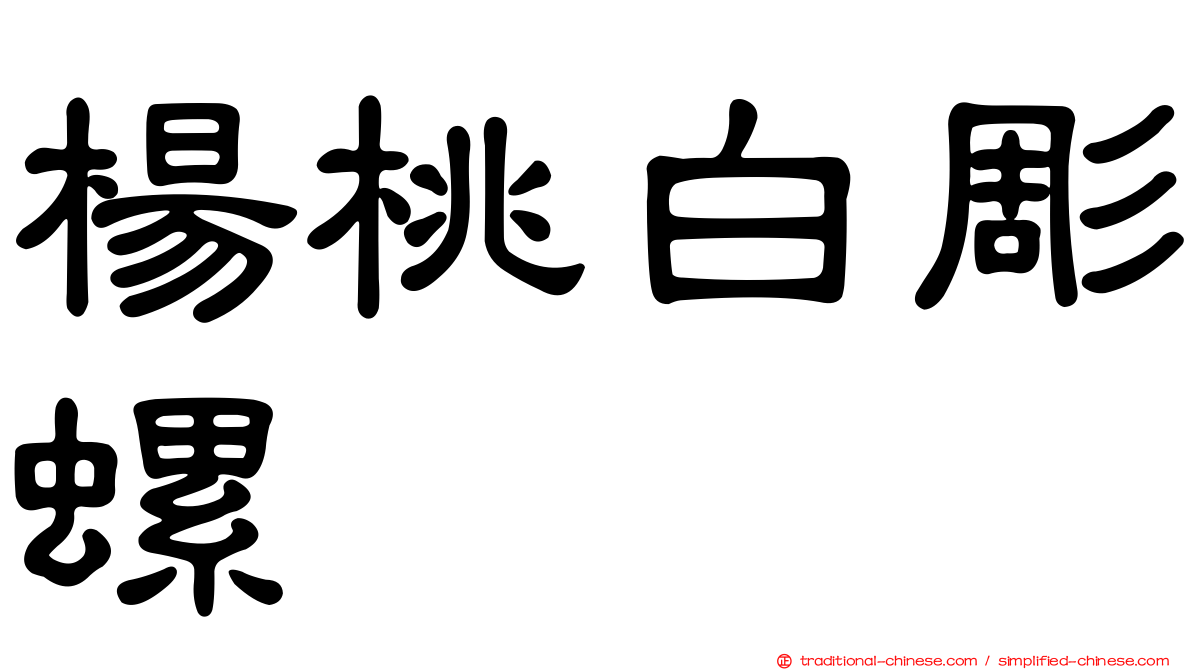 楊桃白彫螺