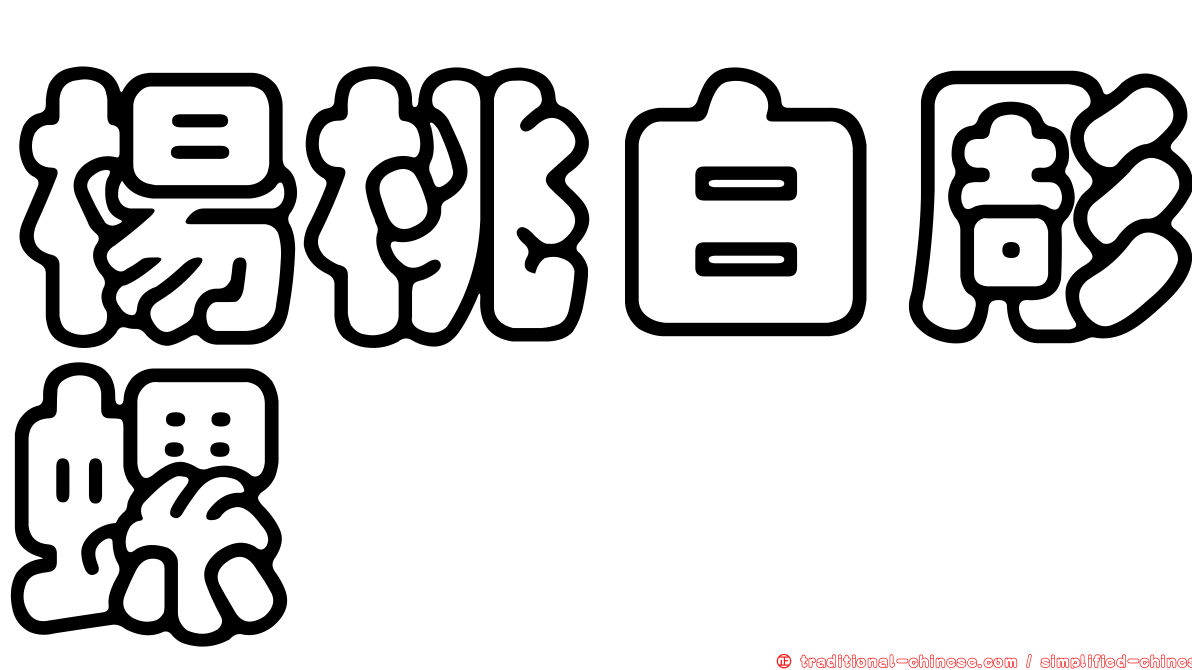 楊桃白彫螺