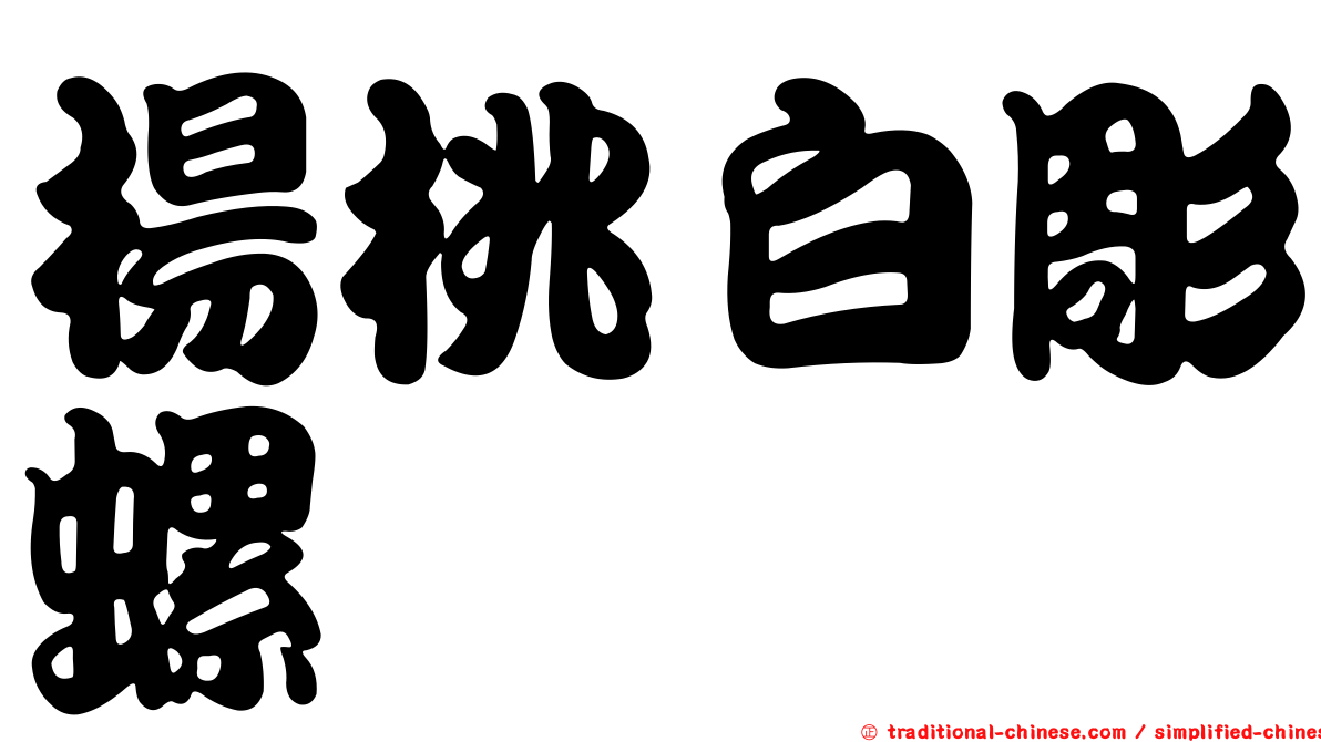 楊桃白彫螺