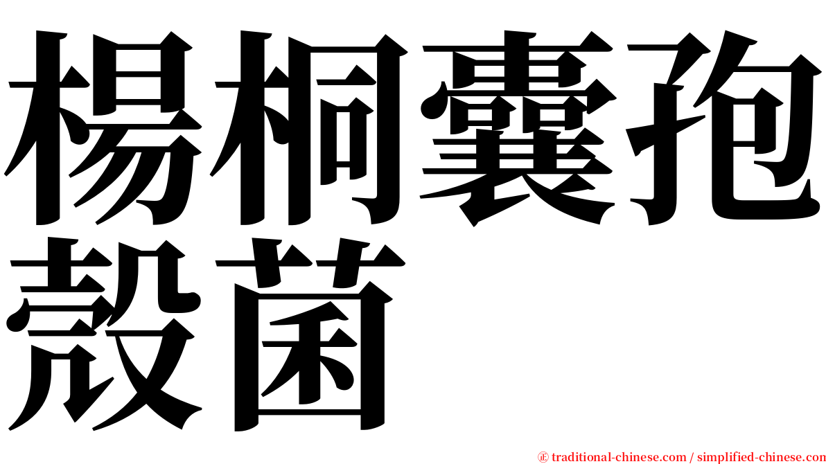 楊桐囊孢殼菌 serif font