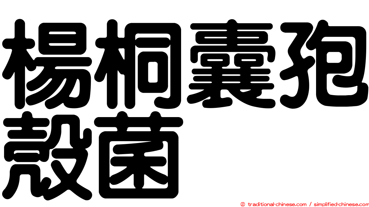 楊桐囊孢殼菌