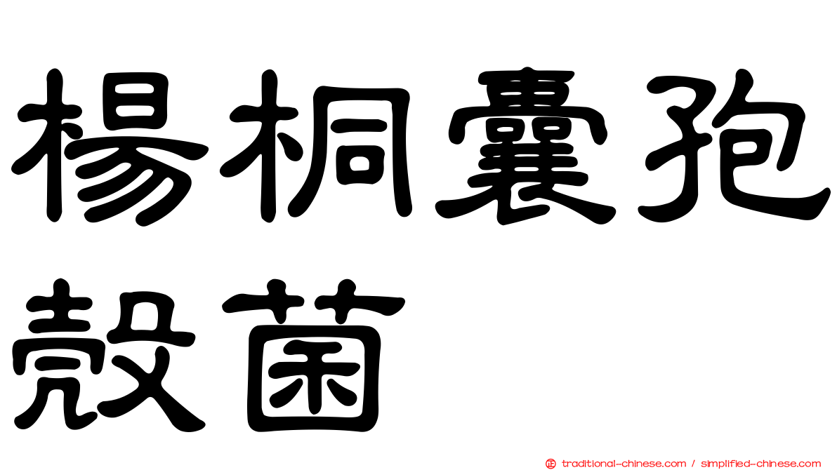 楊桐囊孢殼菌