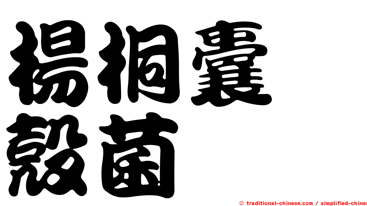 楊桐囊孢殼菌