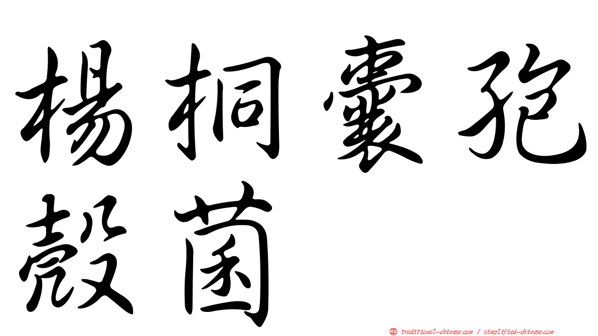 楊桐囊孢殼菌