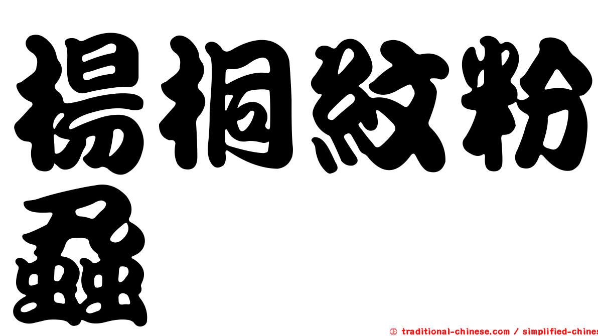 楊桐紋粉蝨
