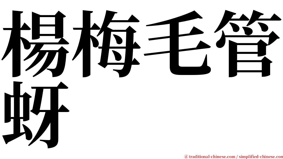 楊梅毛管蚜 serif font