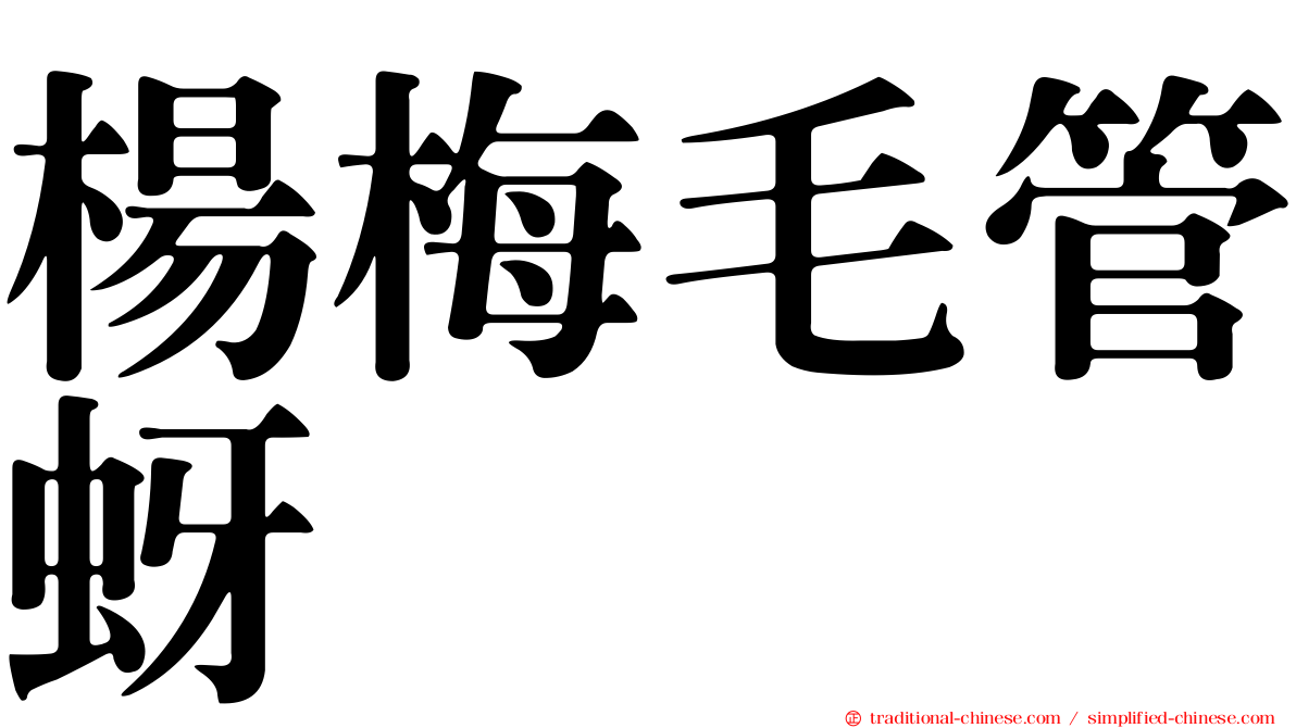 楊梅毛管蚜