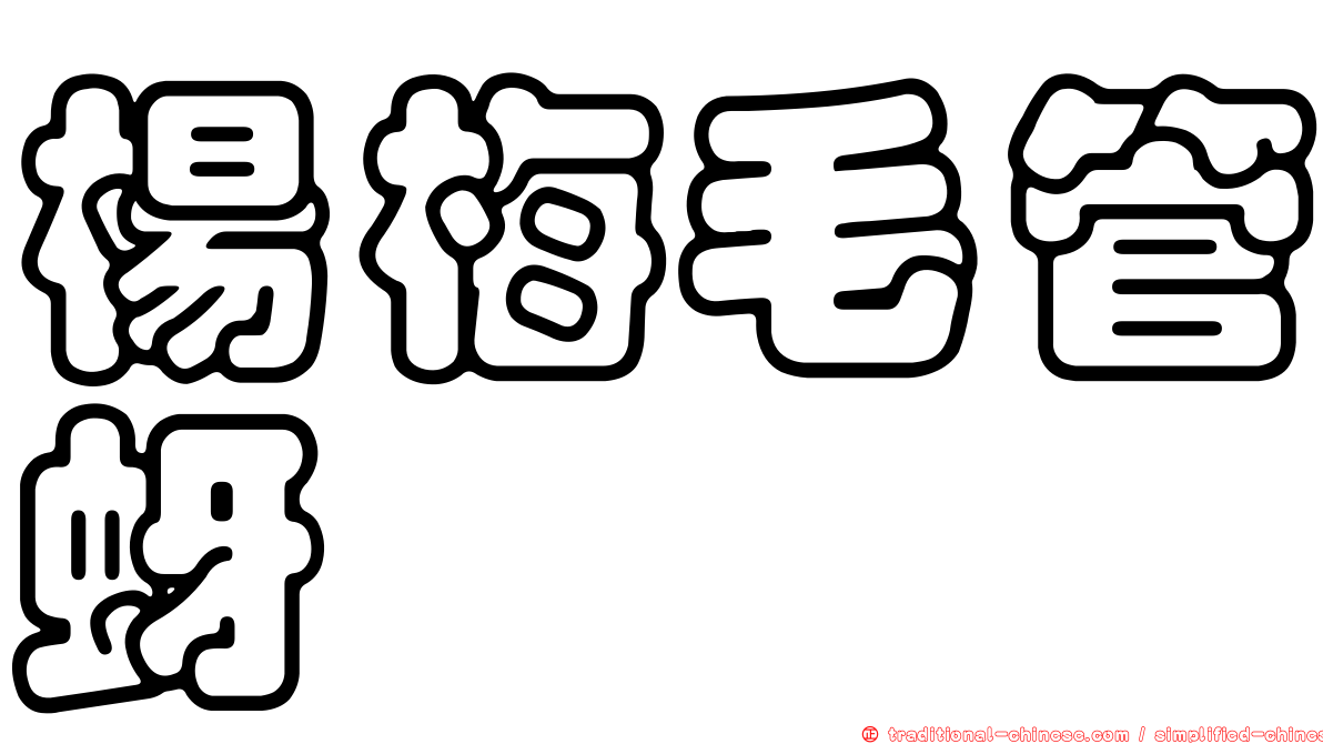 楊梅毛管蚜