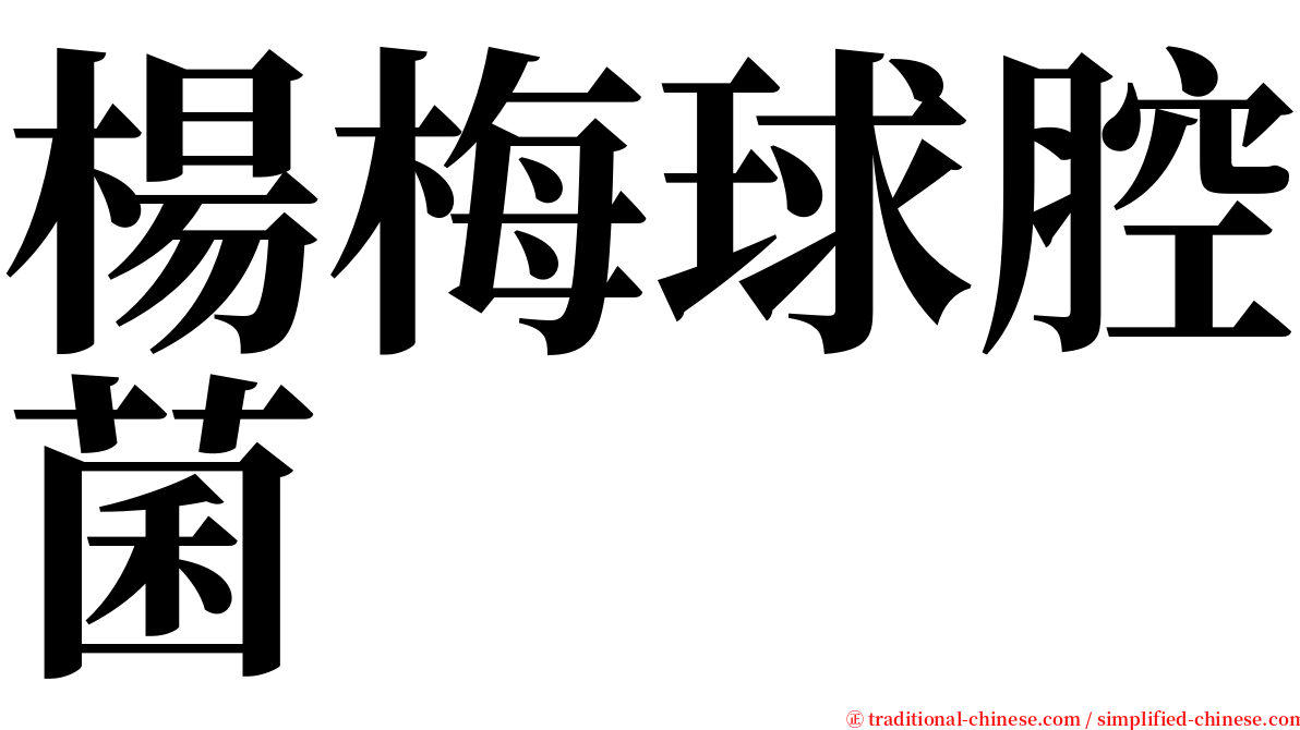 楊梅球腔菌 serif font