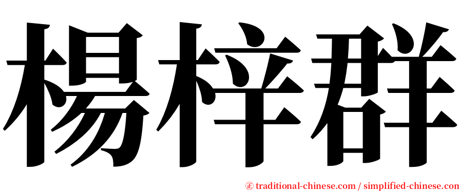 楊梓群 serif font