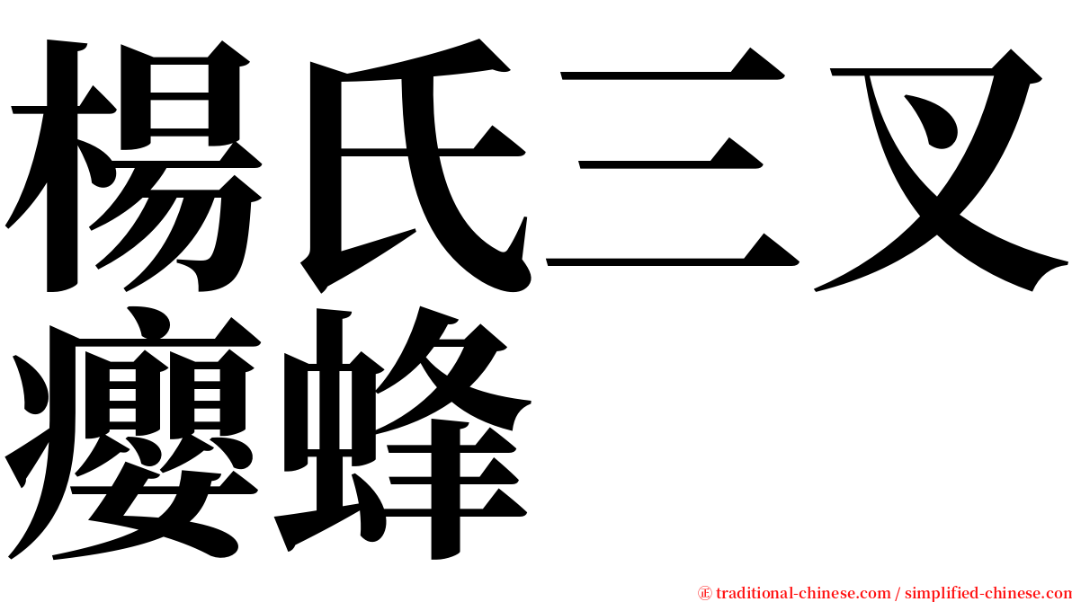 楊氏三叉癭蜂 serif font