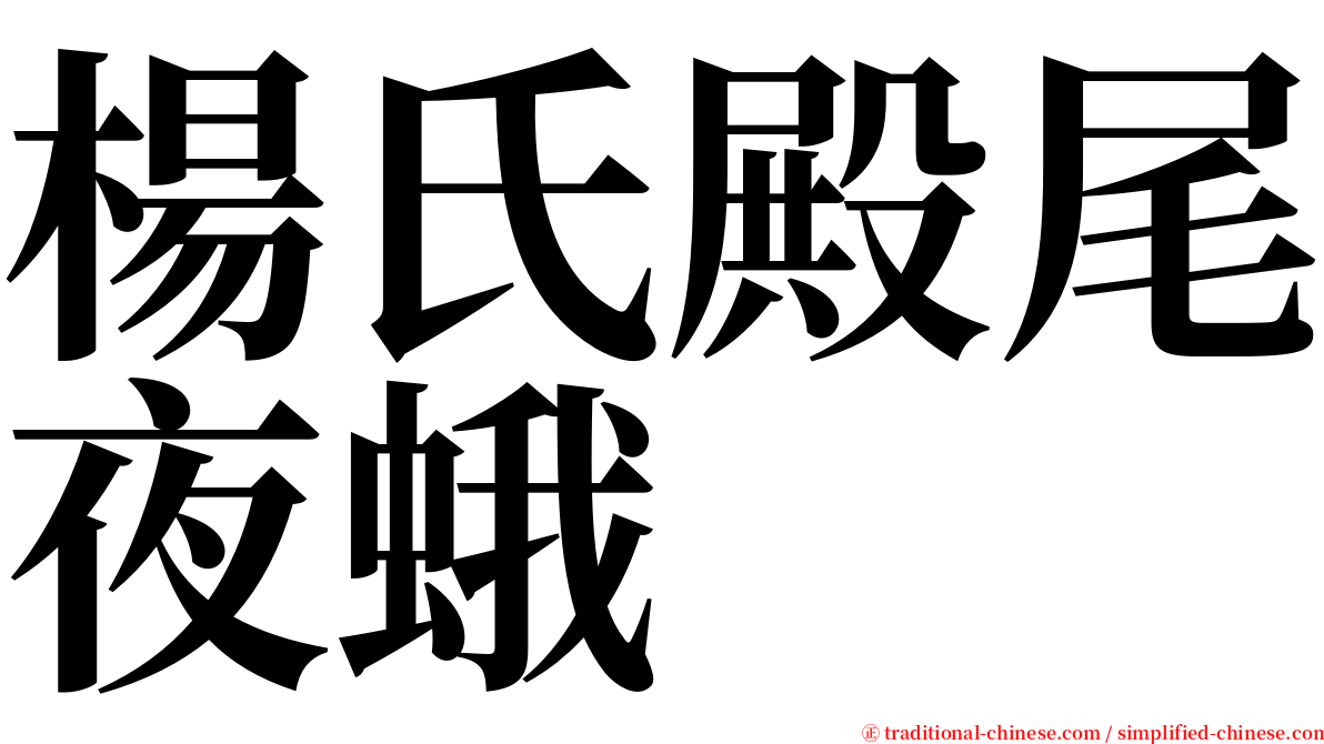 楊氏殿尾夜蛾 serif font