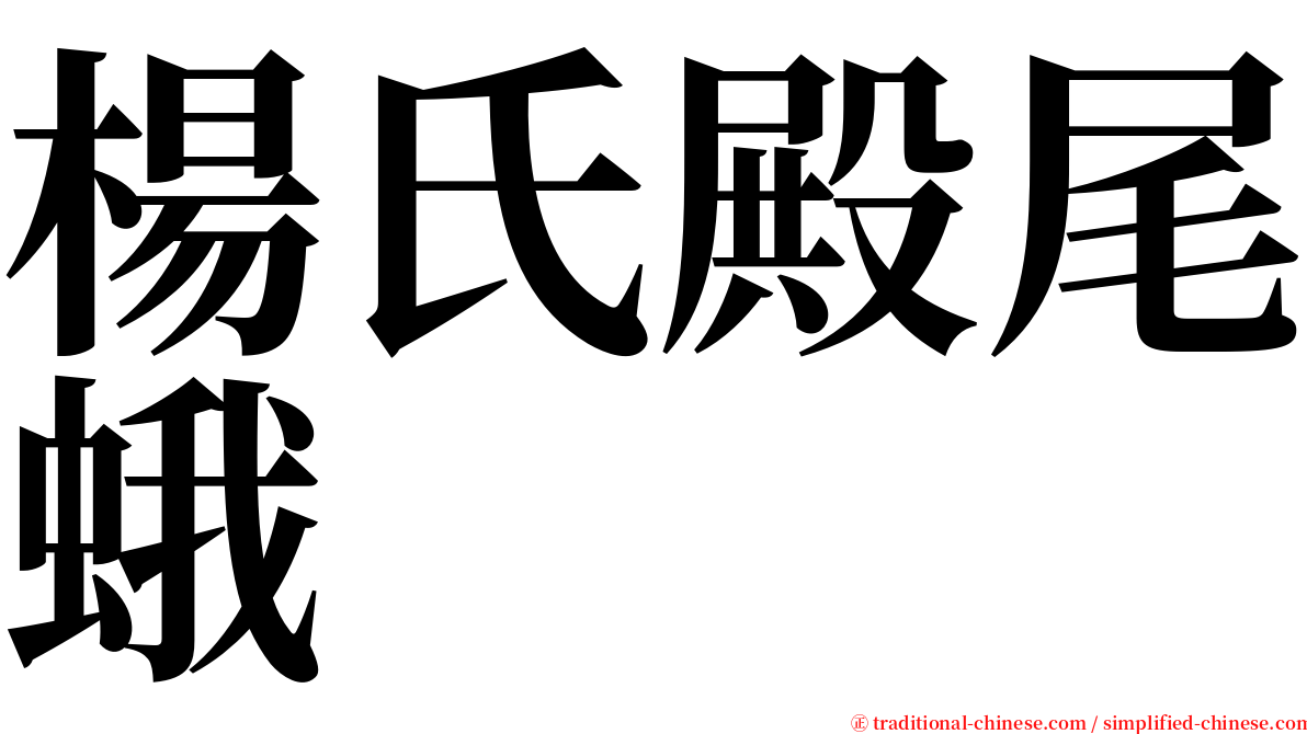 楊氏殿尾蛾 serif font