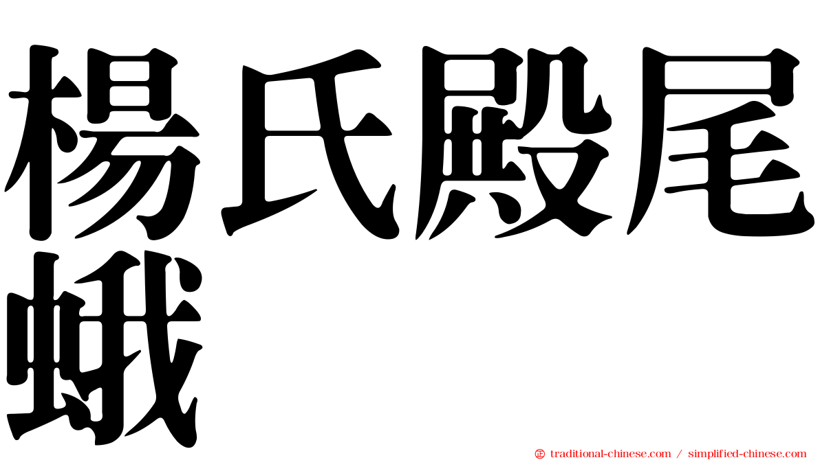 楊氏殿尾蛾