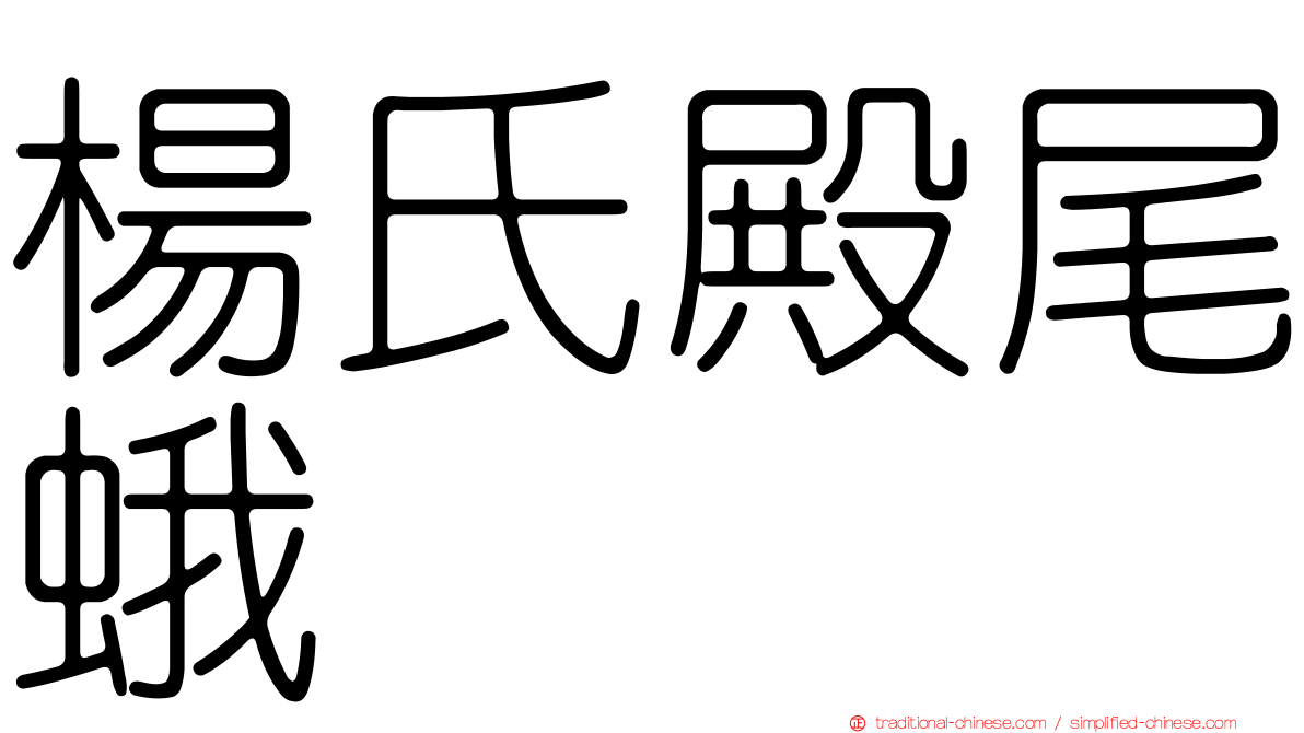 楊氏殿尾蛾