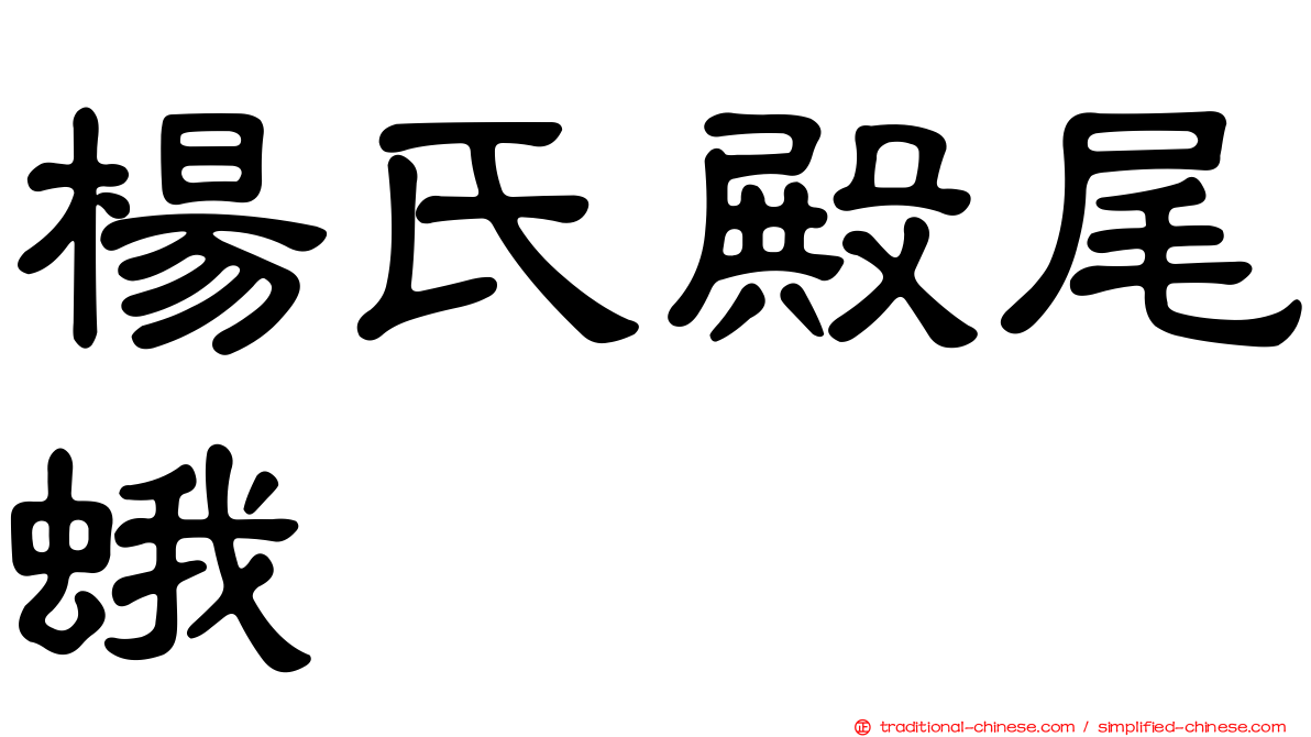 楊氏殿尾蛾