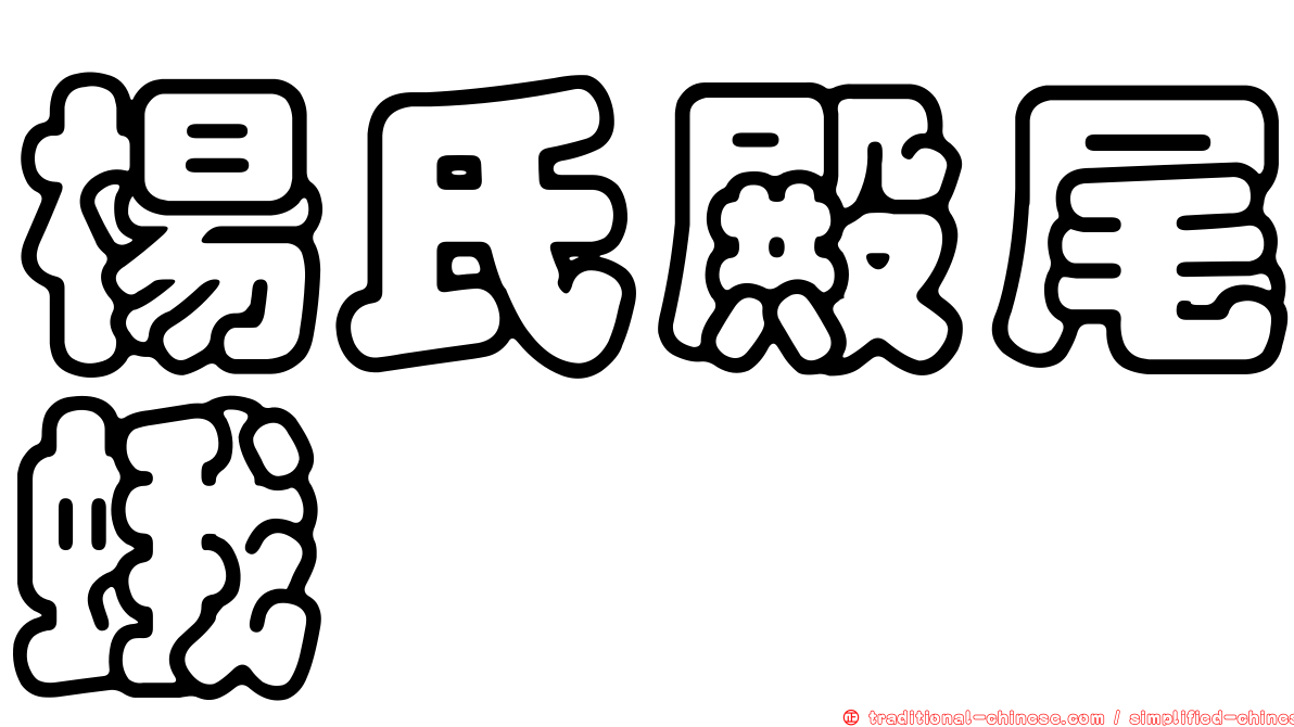 楊氏殿尾蛾