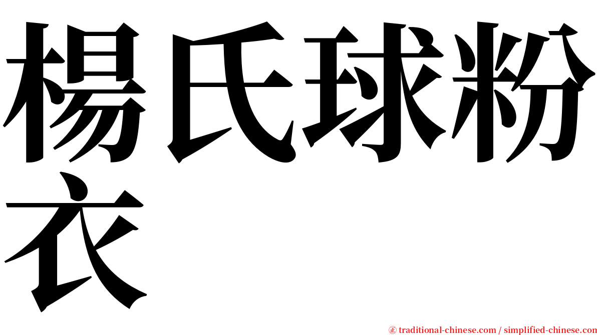 楊氏球粉衣 serif font