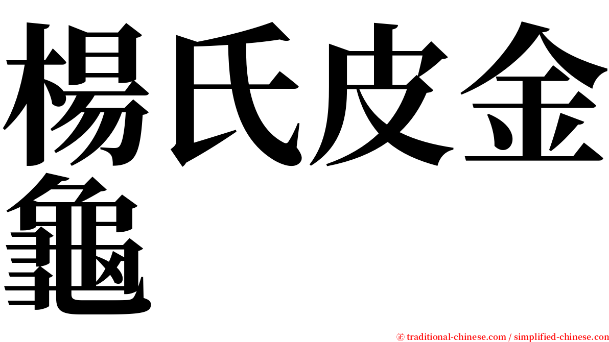 楊氏皮金龜 serif font