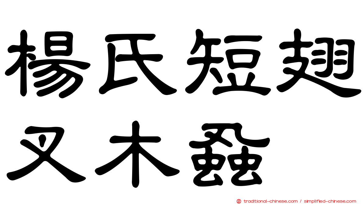 楊氏短翅叉木蝨