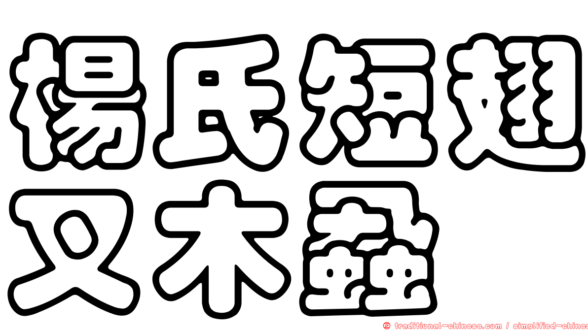 楊氏短翅叉木蝨