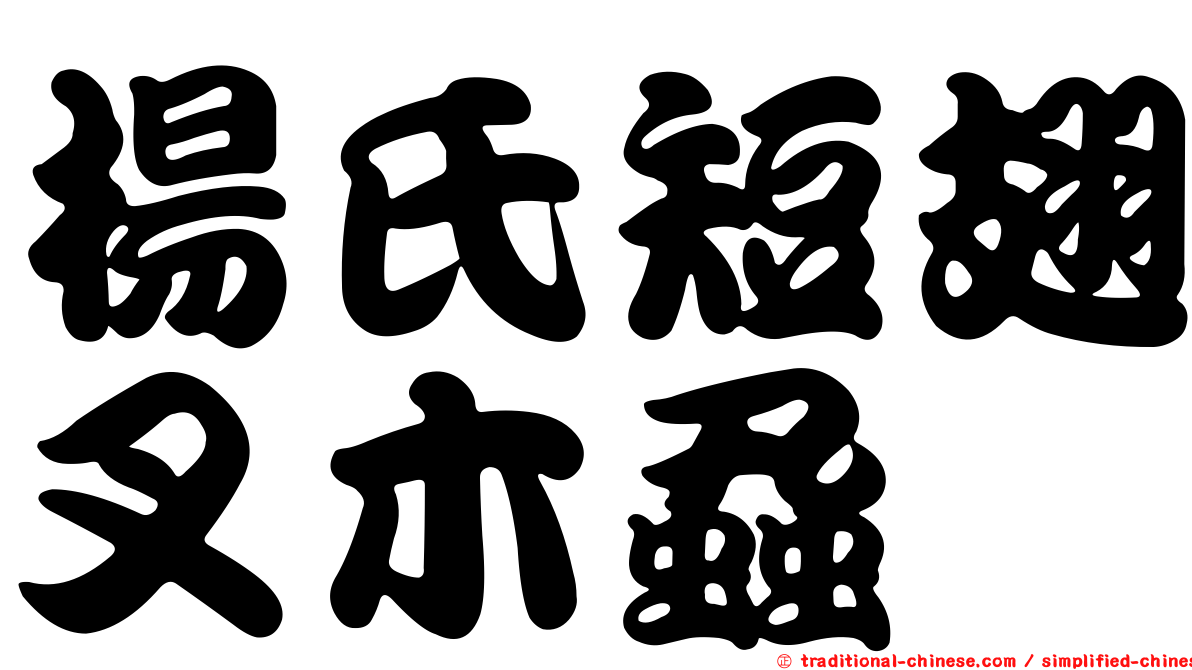 楊氏短翅叉木蝨