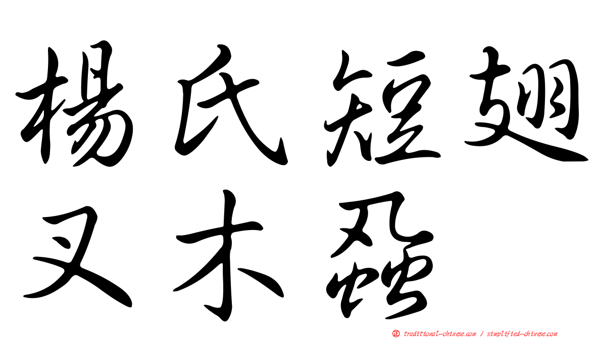 楊氏短翅叉木蝨