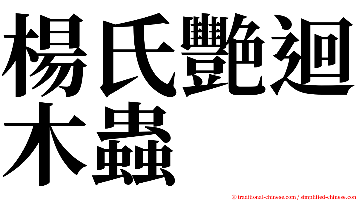 楊氏艷迴木蟲 serif font