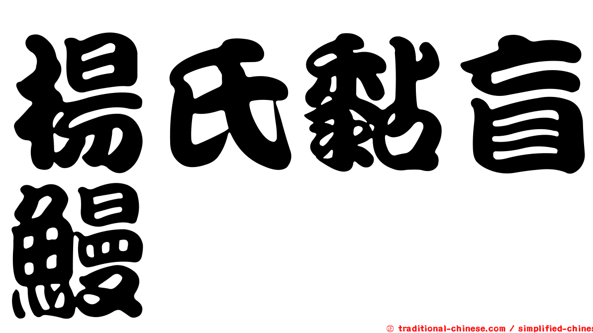 楊氏黏盲鰻