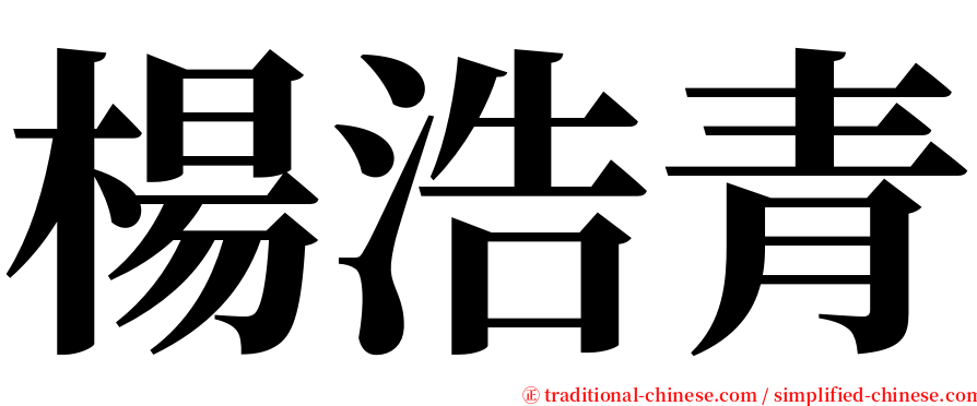 楊浩青 serif font