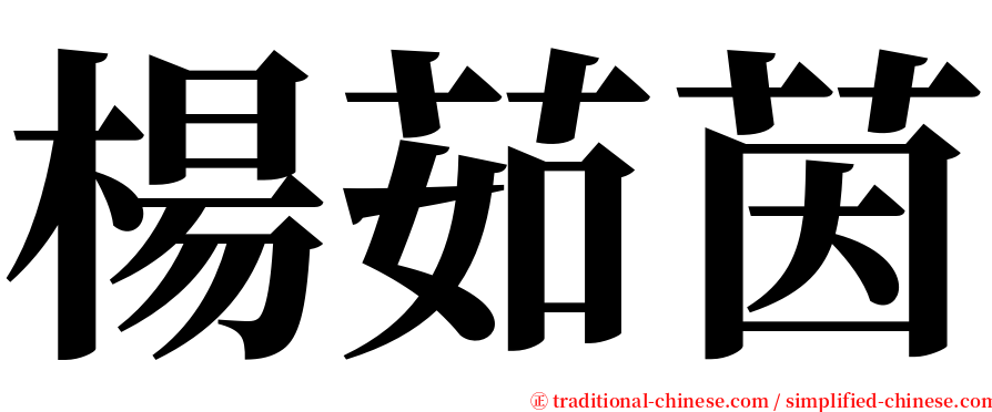 楊茹茵 serif font