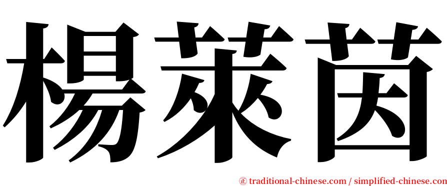 楊萊茵 serif font