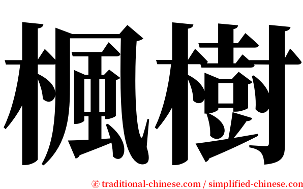 楓樹 serif font