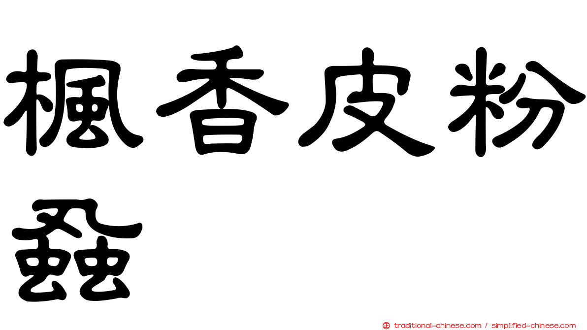 楓香皮粉蝨