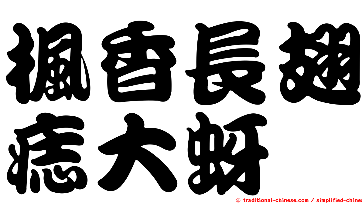 楓香長翅痣大蚜