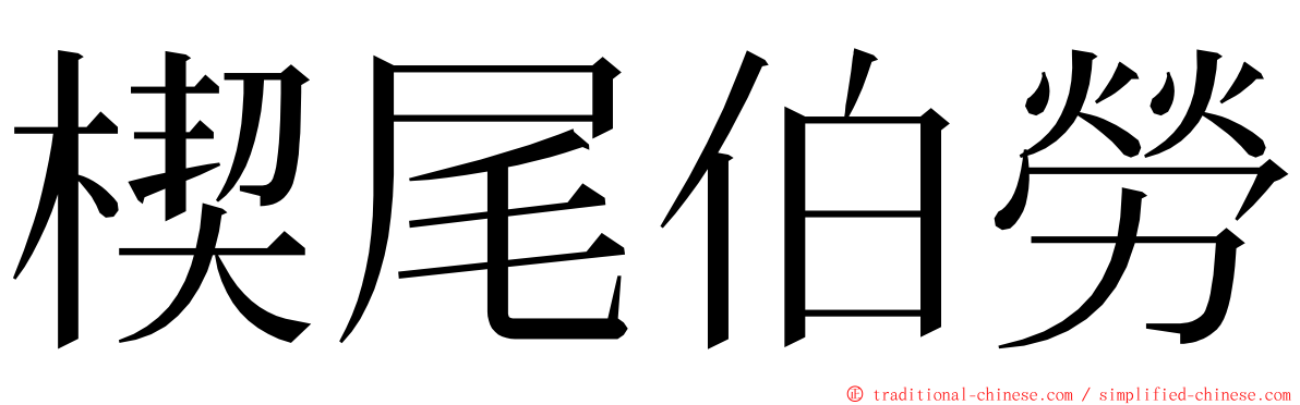 楔尾伯勞 ming font