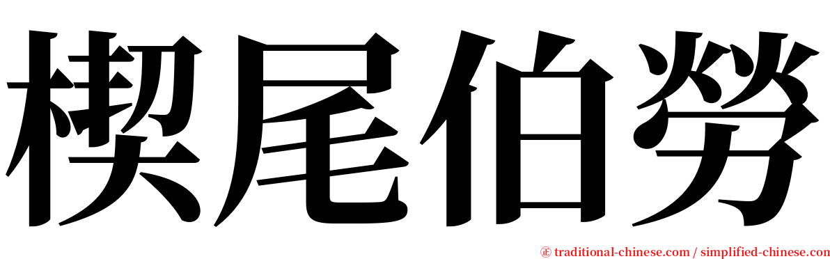 楔尾伯勞 serif font