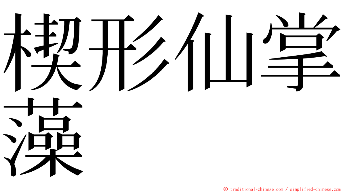 楔形仙掌藻 ming font