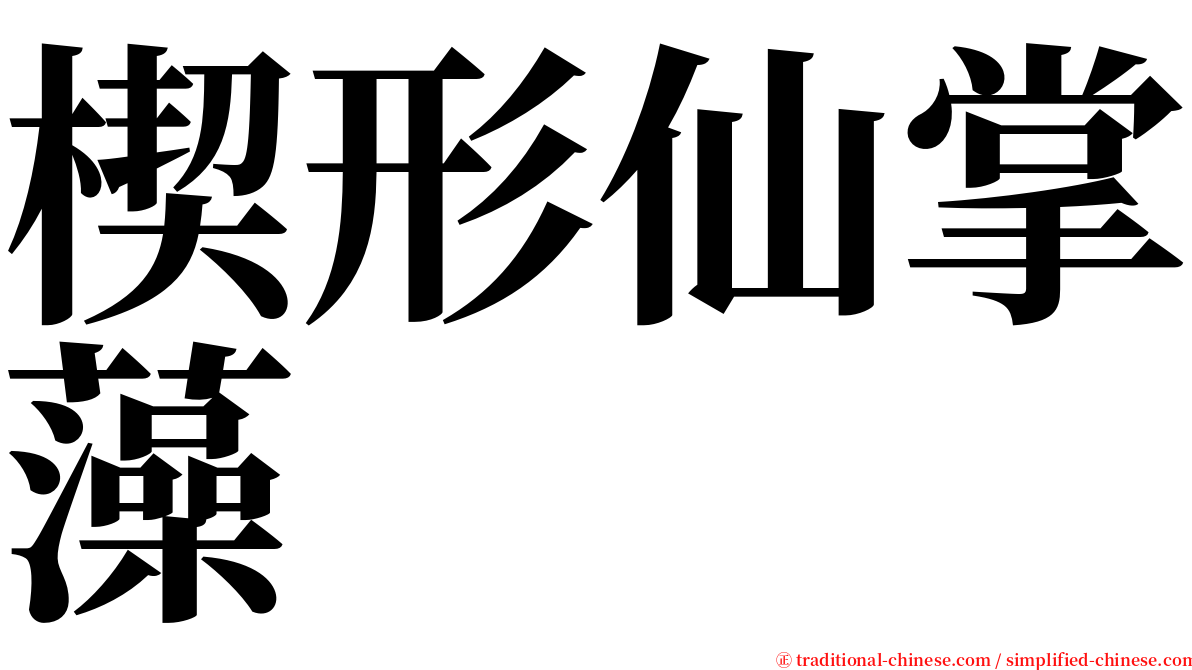 楔形仙掌藻 serif font