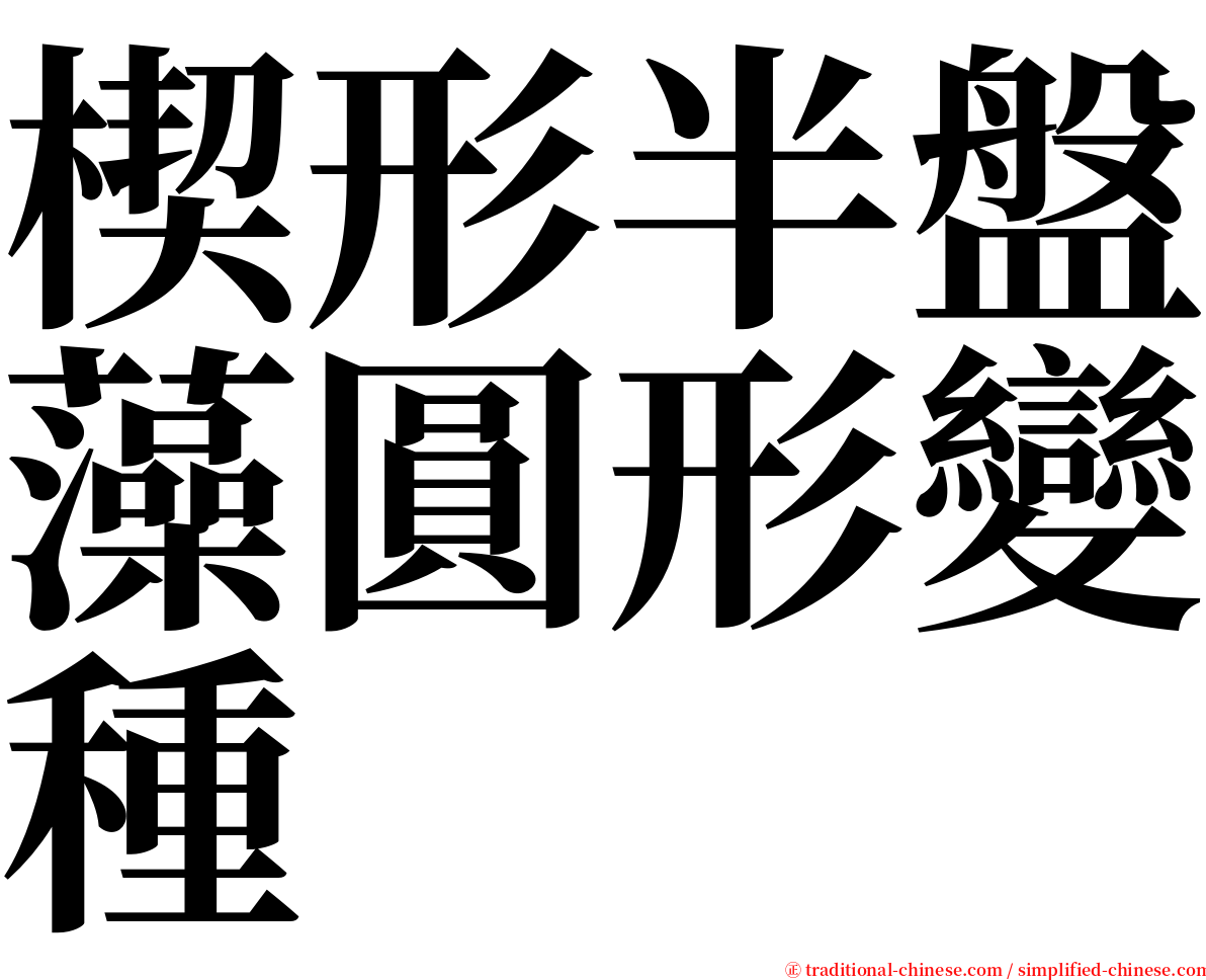 楔形半盤藻圓形變種 serif font