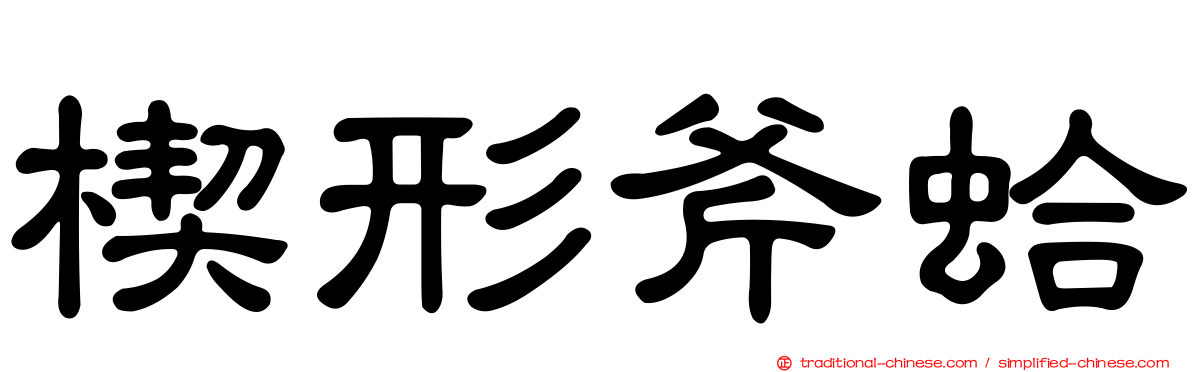 楔形斧蛤