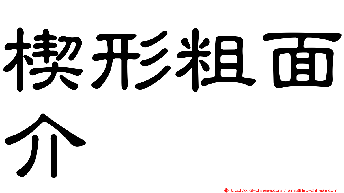 楔形粗面介