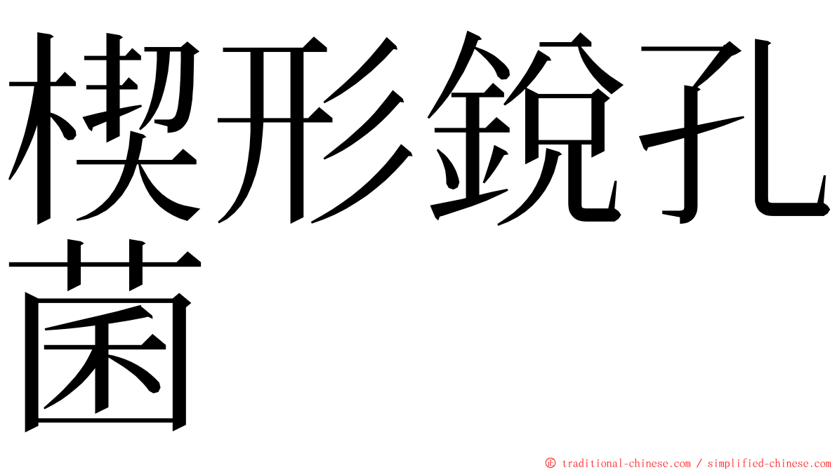 楔形銳孔菌 ming font