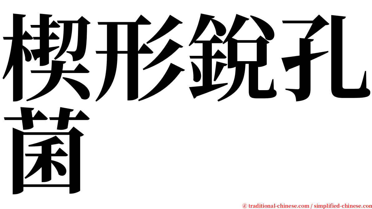 楔形銳孔菌 serif font