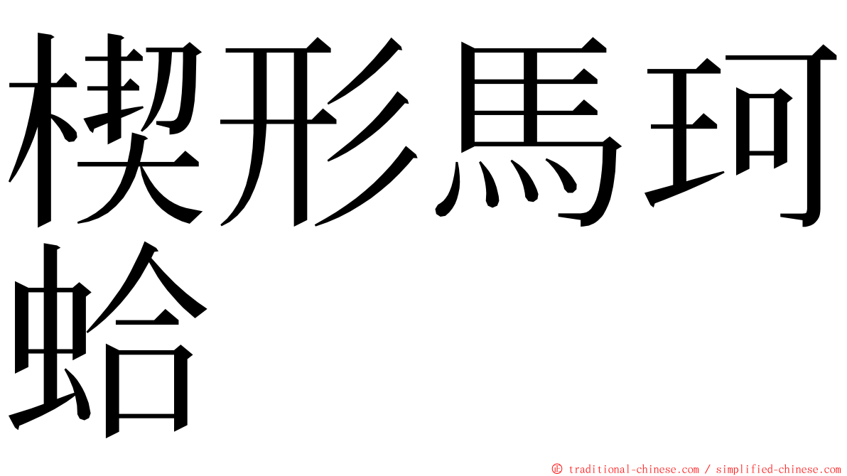 楔形馬珂蛤 ming font